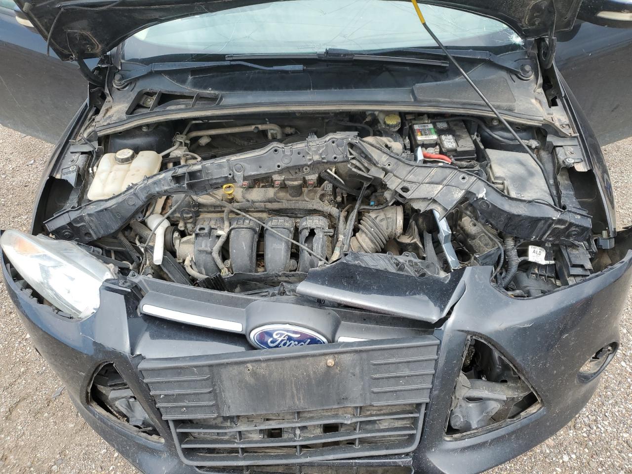 2013 Ford Focus Se VIN: 1FADP3K21DL123801 Lot: 59413994