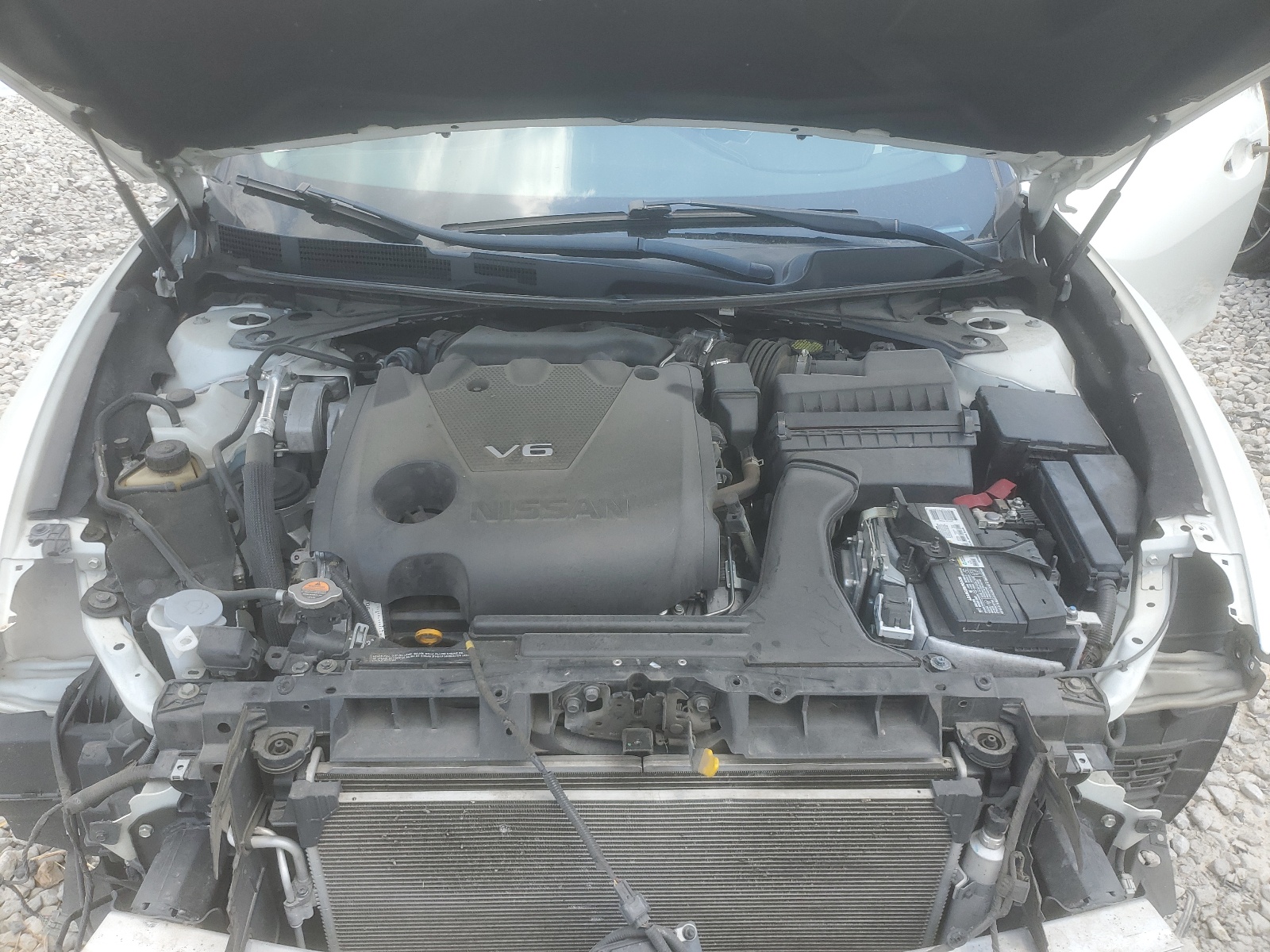 1N4AA6AV0KC366059 2019 Nissan Maxima S