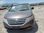 2011 Honda Odyssey Exl за продажба в Magna, UT - Minor Dent/Scratches