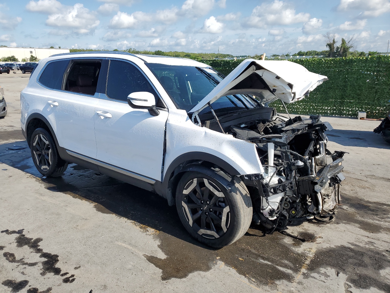 2023 Kia Telluride Ex vin: 5XYP34GC4PG358901