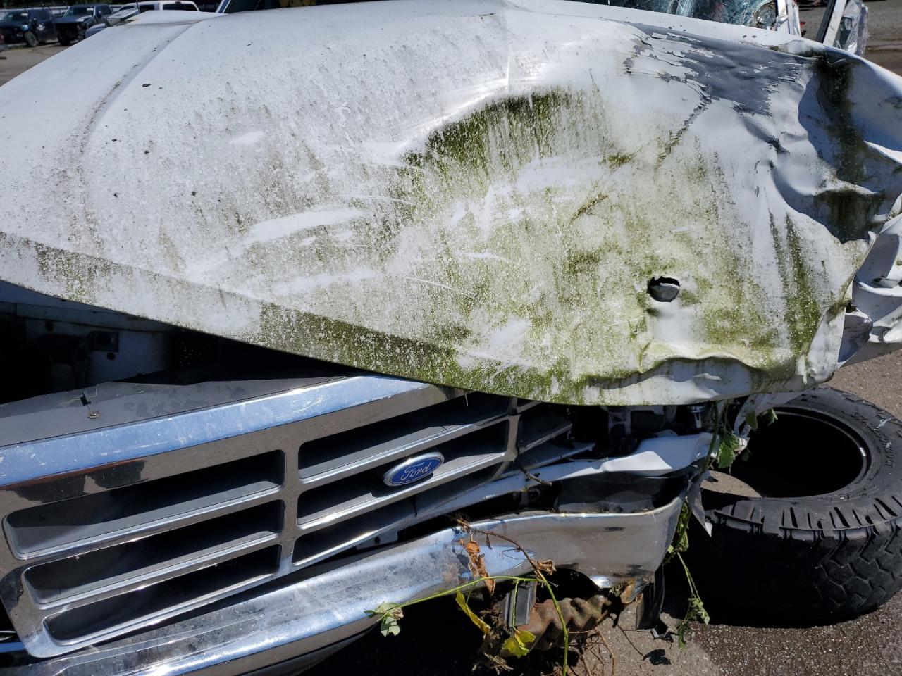 1992 Ford F150 VIN: 1FTEF14N4NKA88790 Lot: 59738784