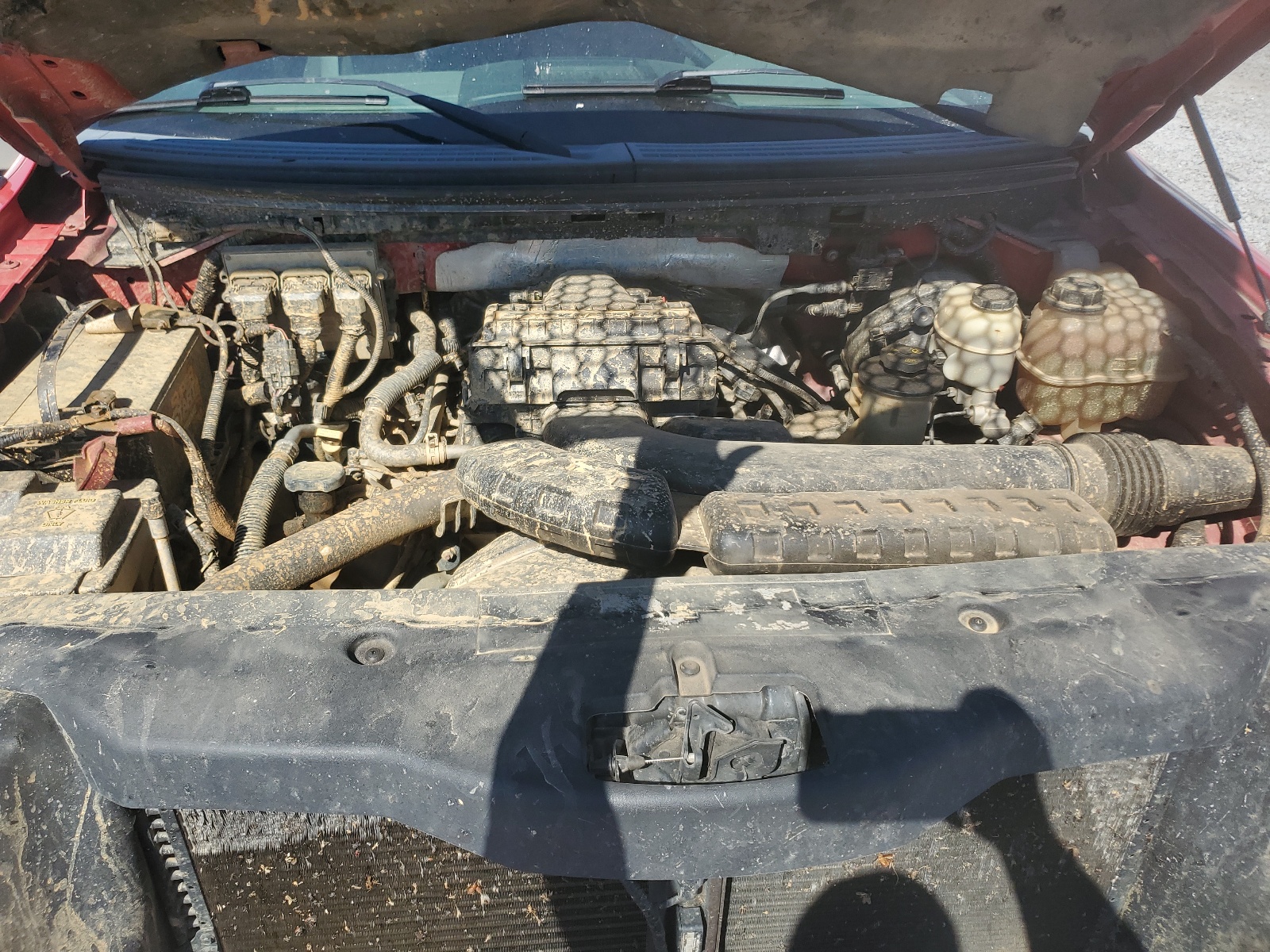 1FTPX12VX6FB79596 2006 Ford F150