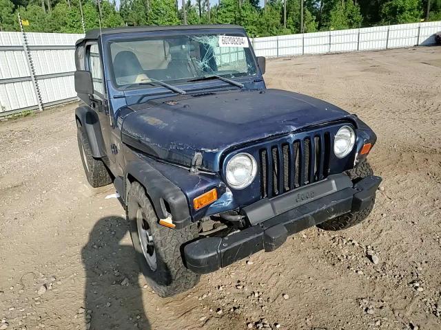 2002 Jeep Wrangler / Tj X VIN: 1J4FA39S32P734990 Lot: 60208204