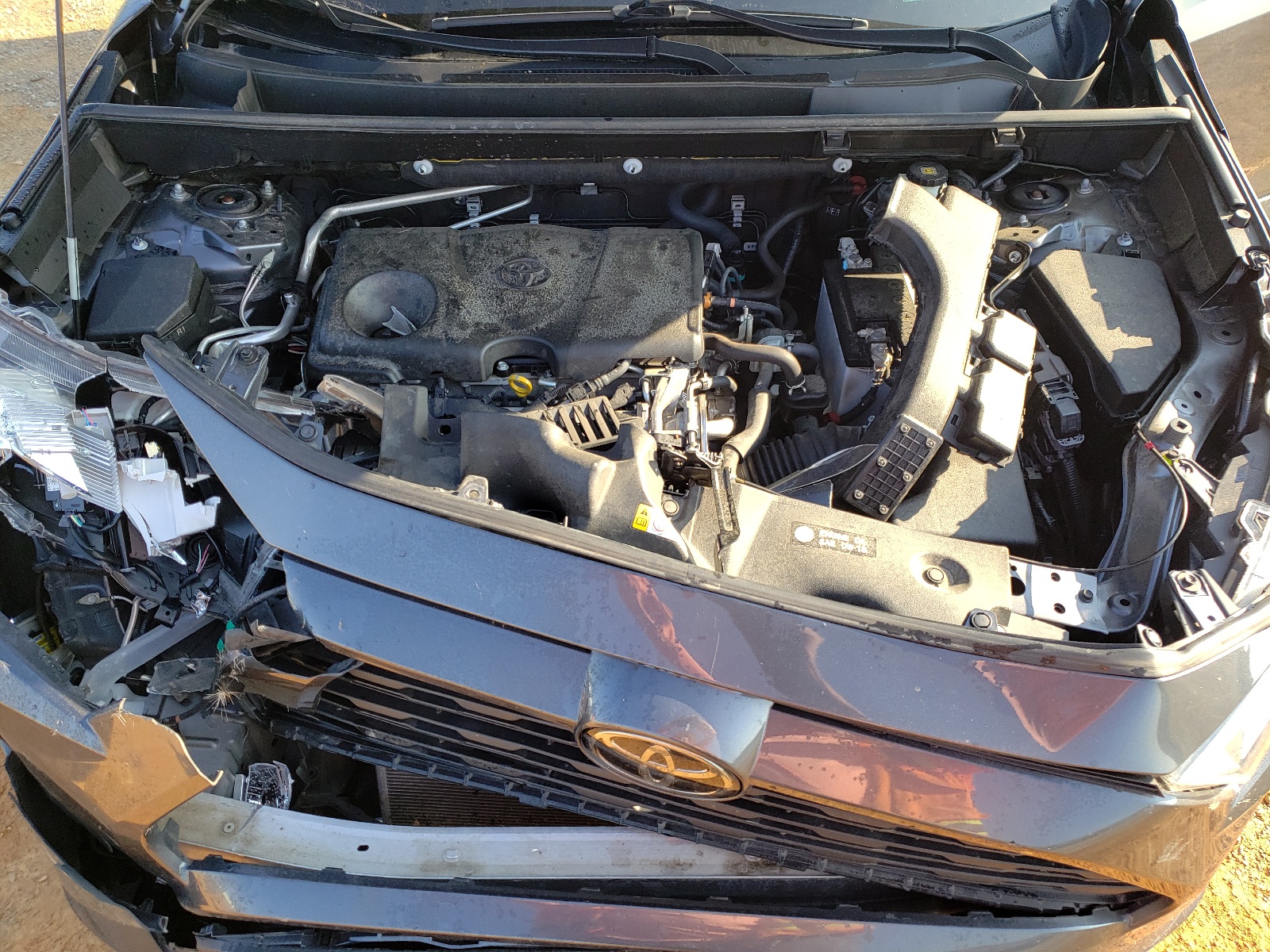 JTMP1RFV4KD026776 2019 Toyota Rav4 Xle