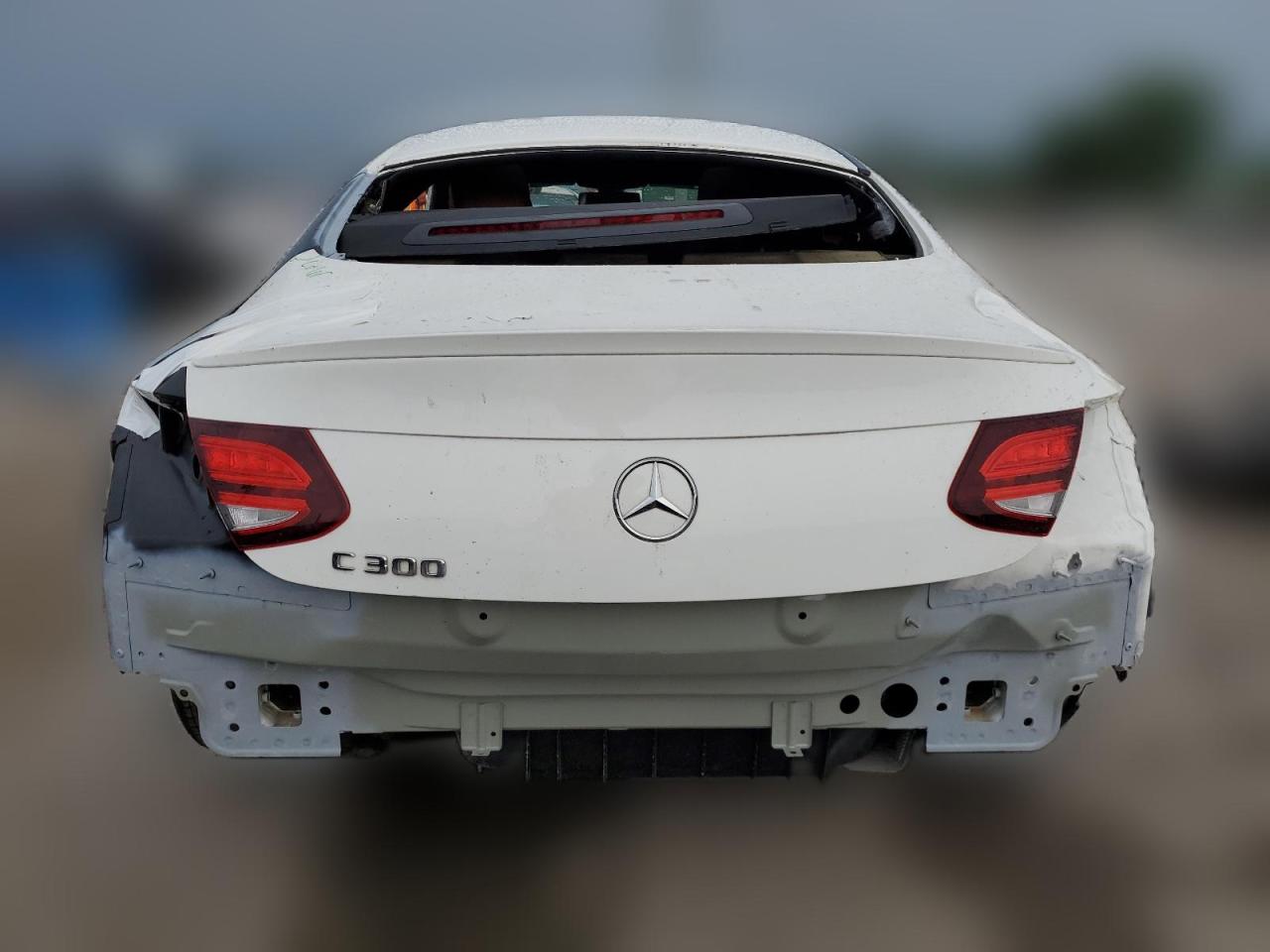 2019 Mercedes-Benz C 300 VIN: WDDWJ8DB3KF846775 Lot: 53220204