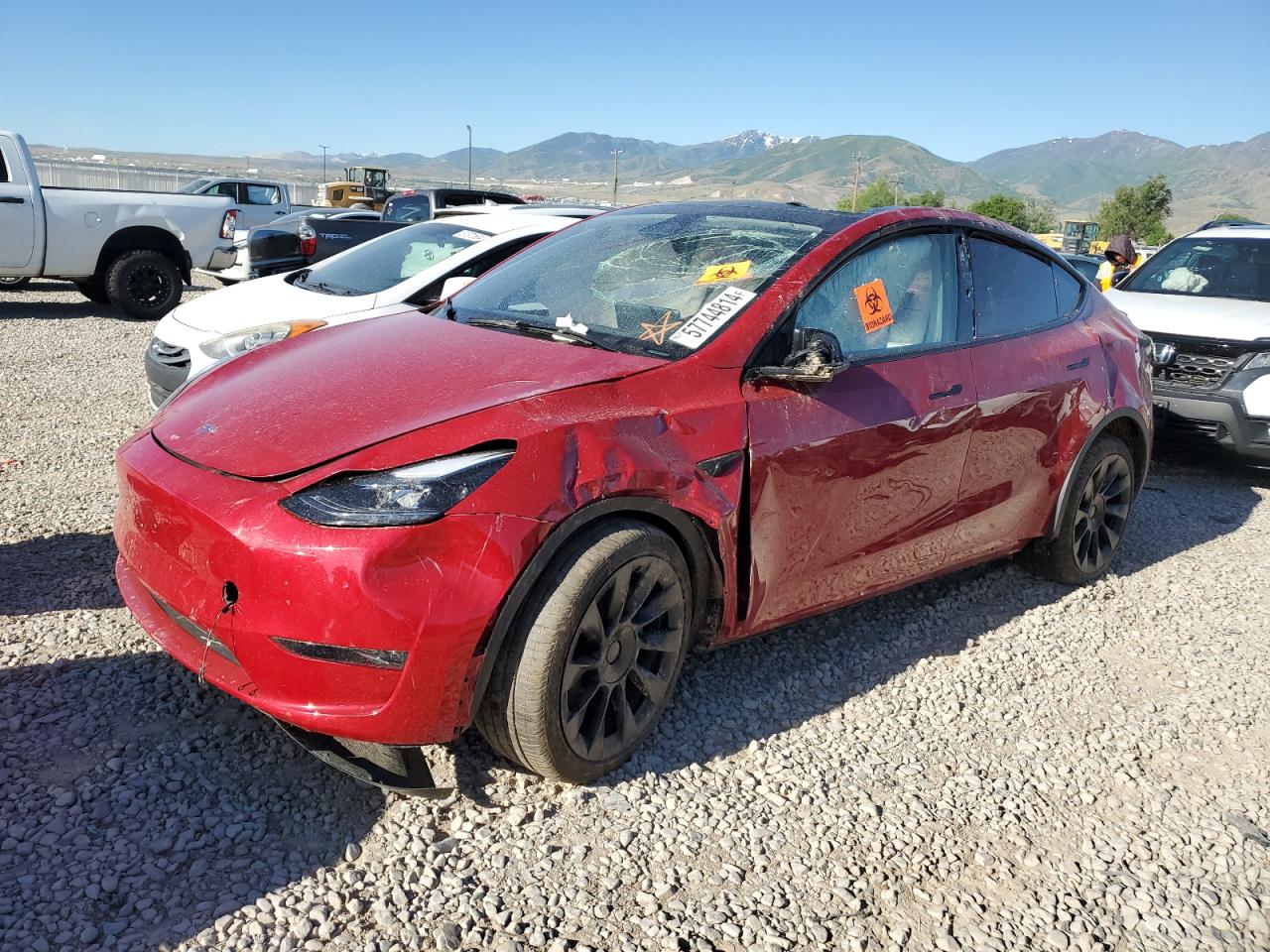 7SAYGDEE6PF877777 2023 TESLA MODEL Y - Image 1