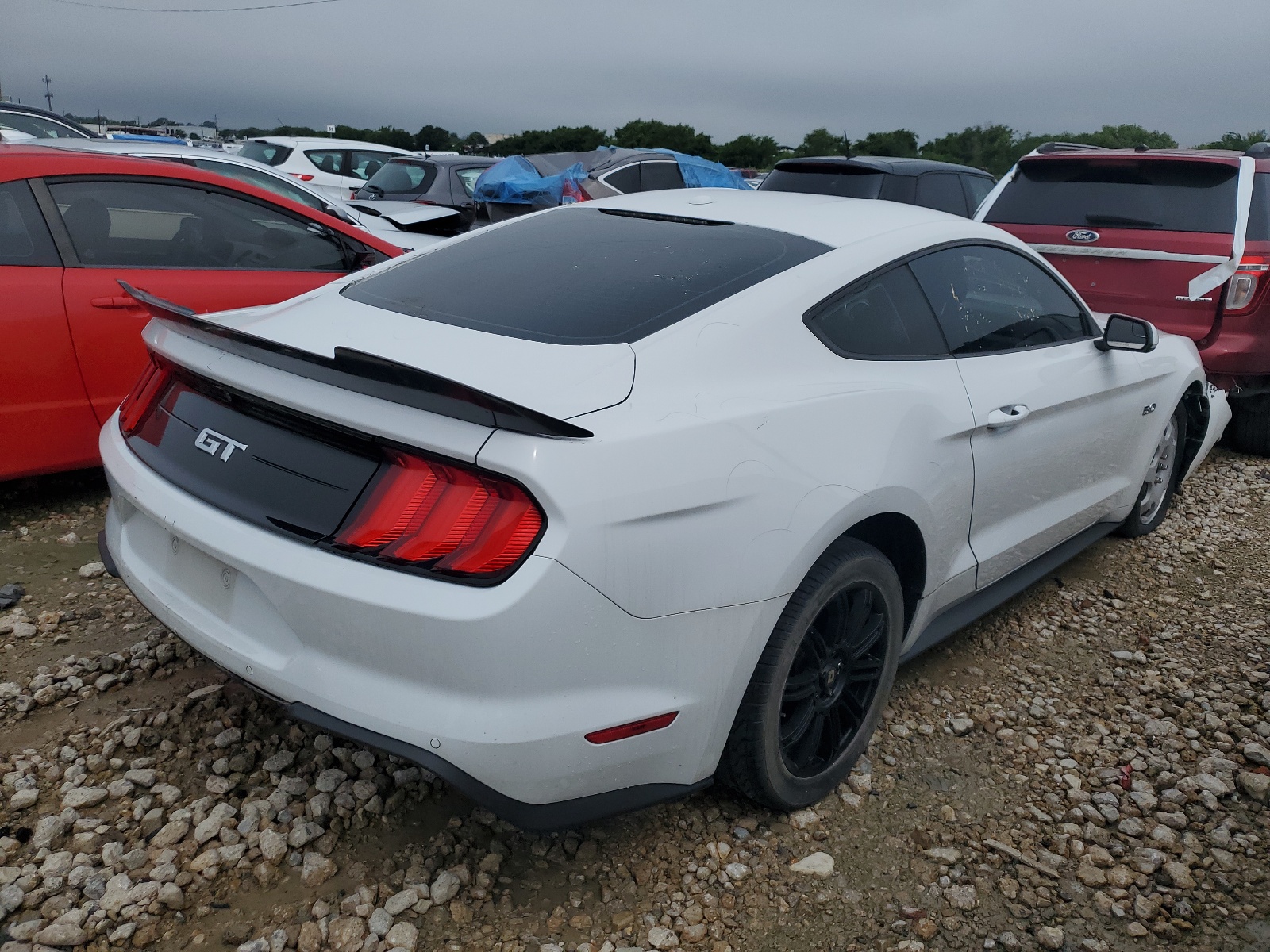 2020 Ford Mustang Gt vin: 1FA6P8CF0L5124318