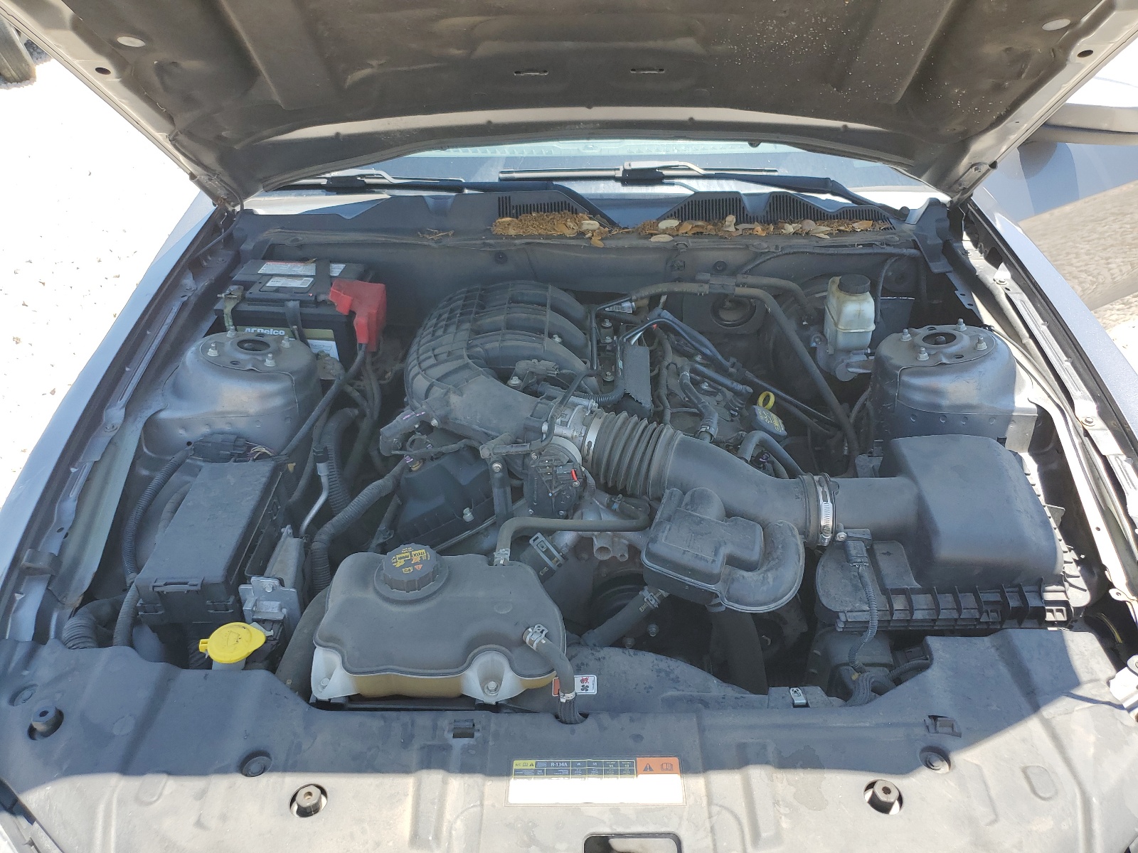 1ZVBP8AM3D5266669 2013 Ford Mustang