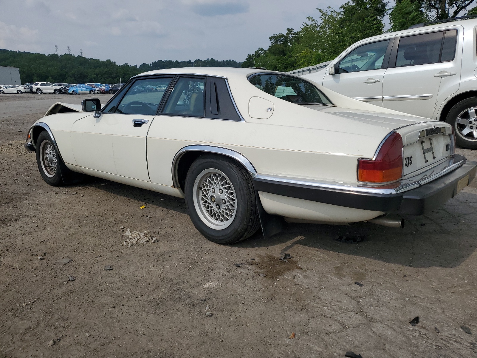 SAJNA5841KC150225 1989 Jaguar Xjs