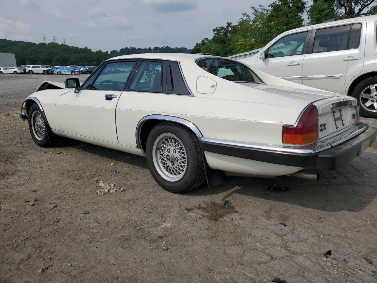 1989 Jaguar Xjs VIN: SAJNA5841KC150225 Lot: 59623734