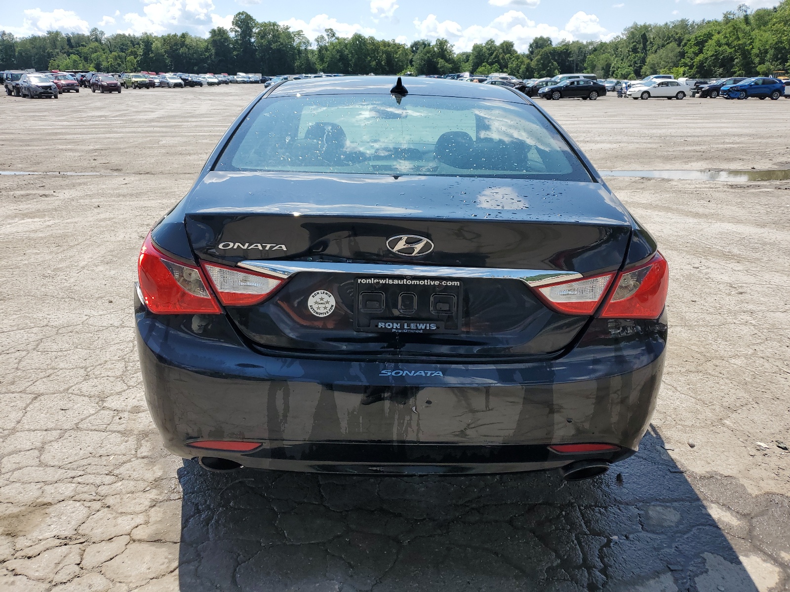 5NPEC4AC4DH598390 2013 Hyundai Sonata Se
