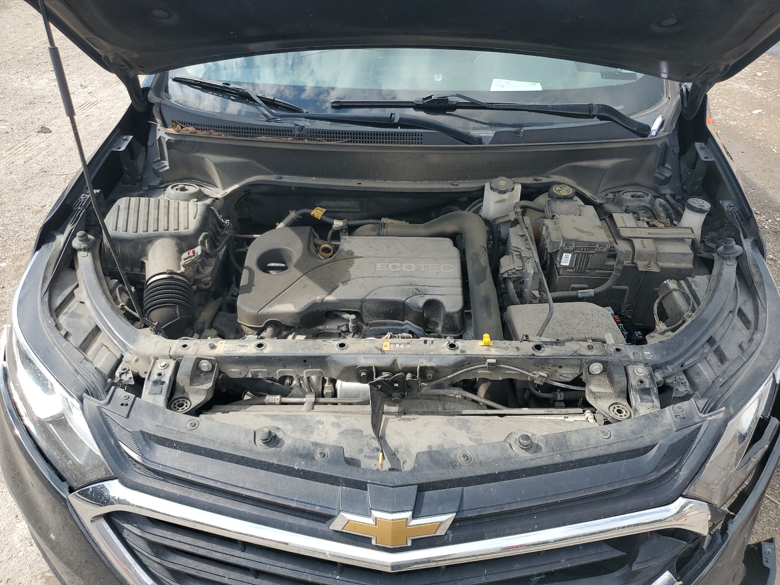 2019 Chevrolet Equinox Lt vin: 2GNAXUEV2K6161835