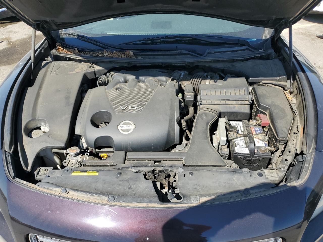 1N4AA5AP4AC863514 2010 Nissan Maxima S