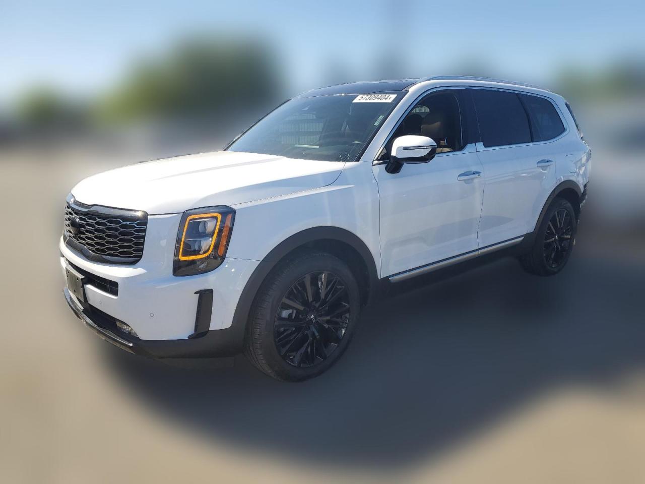 2021 Kia Telluride Sx VIN: 5XYP54HC3MG137911 Lot: 57309404
