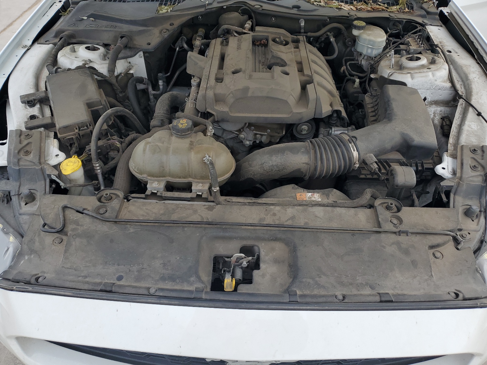 1FA6P8TH5H5310297 2017 Ford Mustang