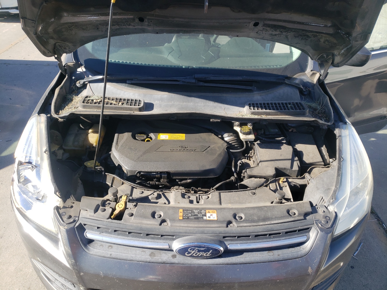 1FMCU0GX5GUA55420 2016 Ford Escape Se