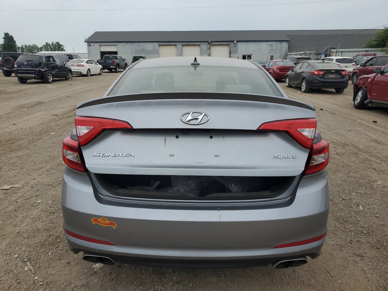 2017 Hyundai Sonata Sport vin: 5NPE34AFXHH465651