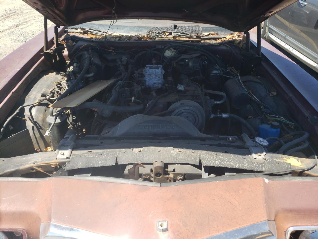 1979 Ford Thunderbir VIN: 9J87H101112 Lot: 61273464