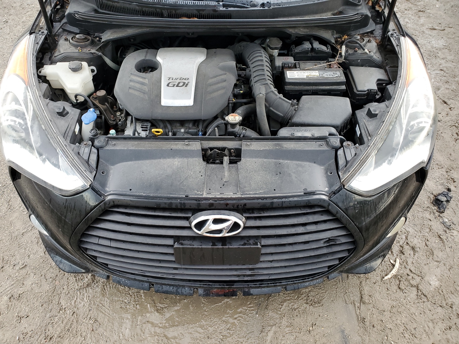 KMHTC6AEXEU208576 2014 Hyundai Veloster Turbo
