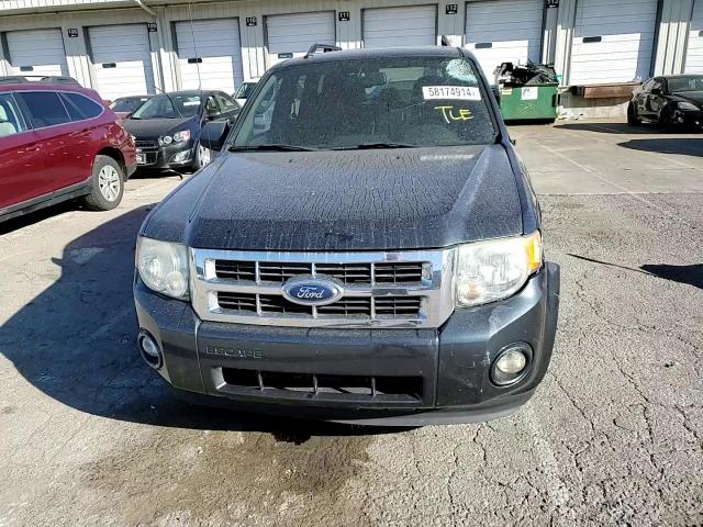 2009 Ford Escape Xlt VIN: 1FMCU93G29KC50447 Lot: 58174914