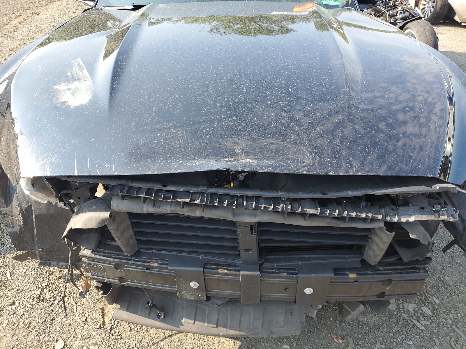 1FA6P8TH9G5263886 2016 Ford Mustang