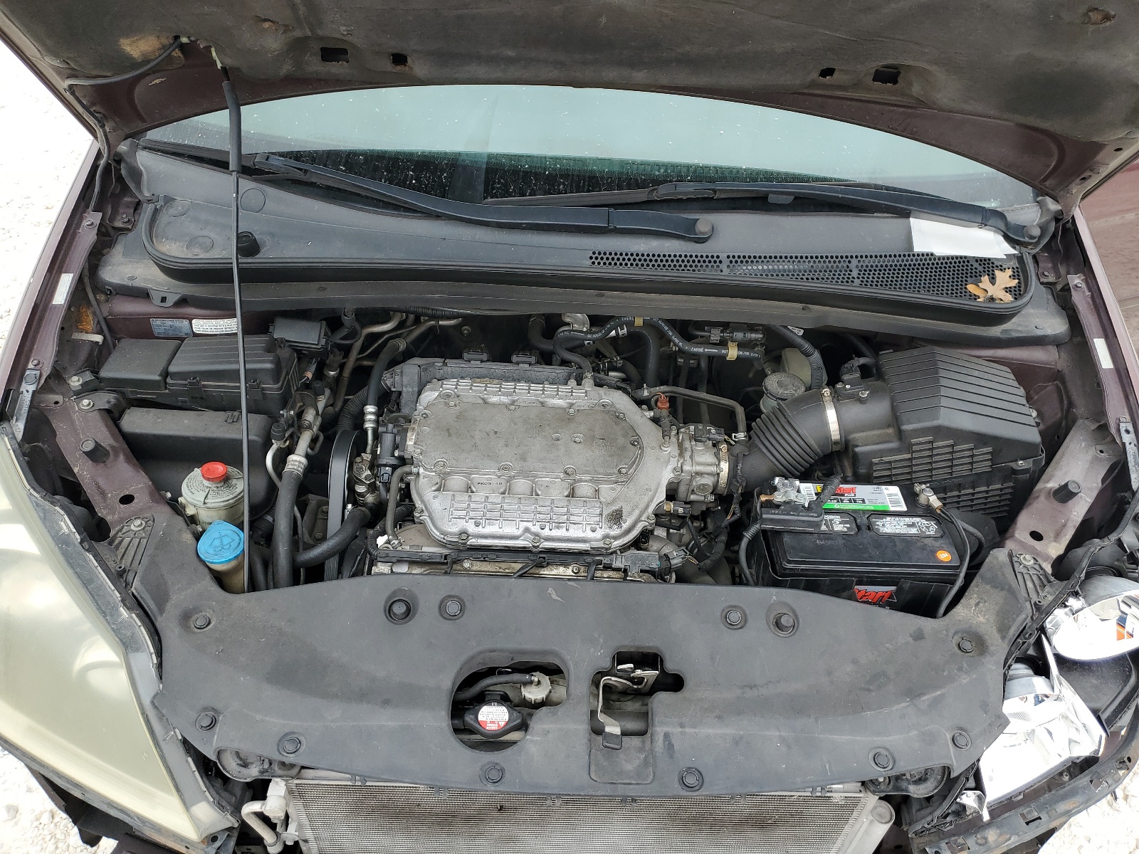 5FNRL38627B428706 2007 Honda Odyssey Exl