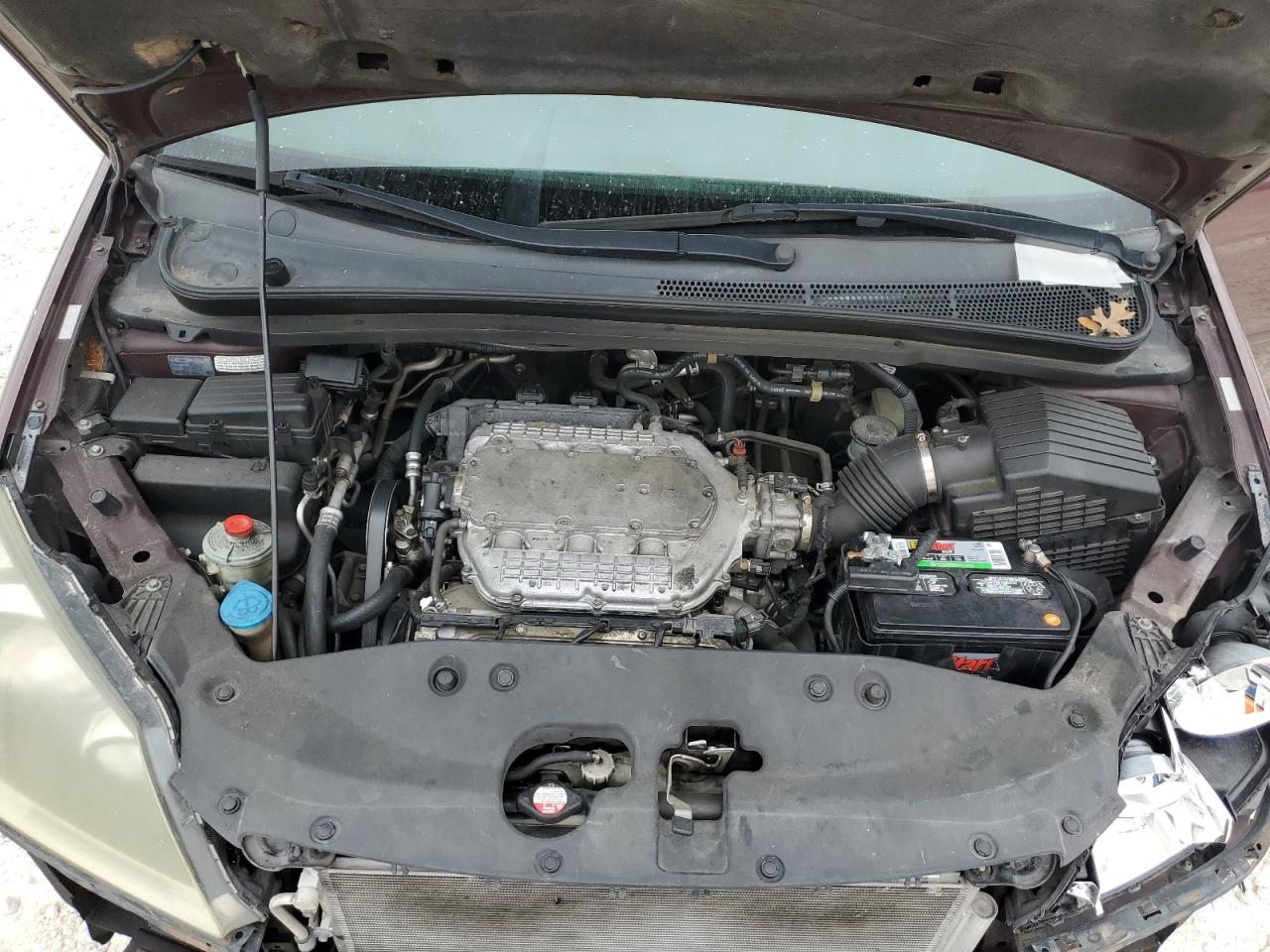 2007 Honda Odyssey Exl VIN: 5FNRL38627B428706 Lot: 59516364