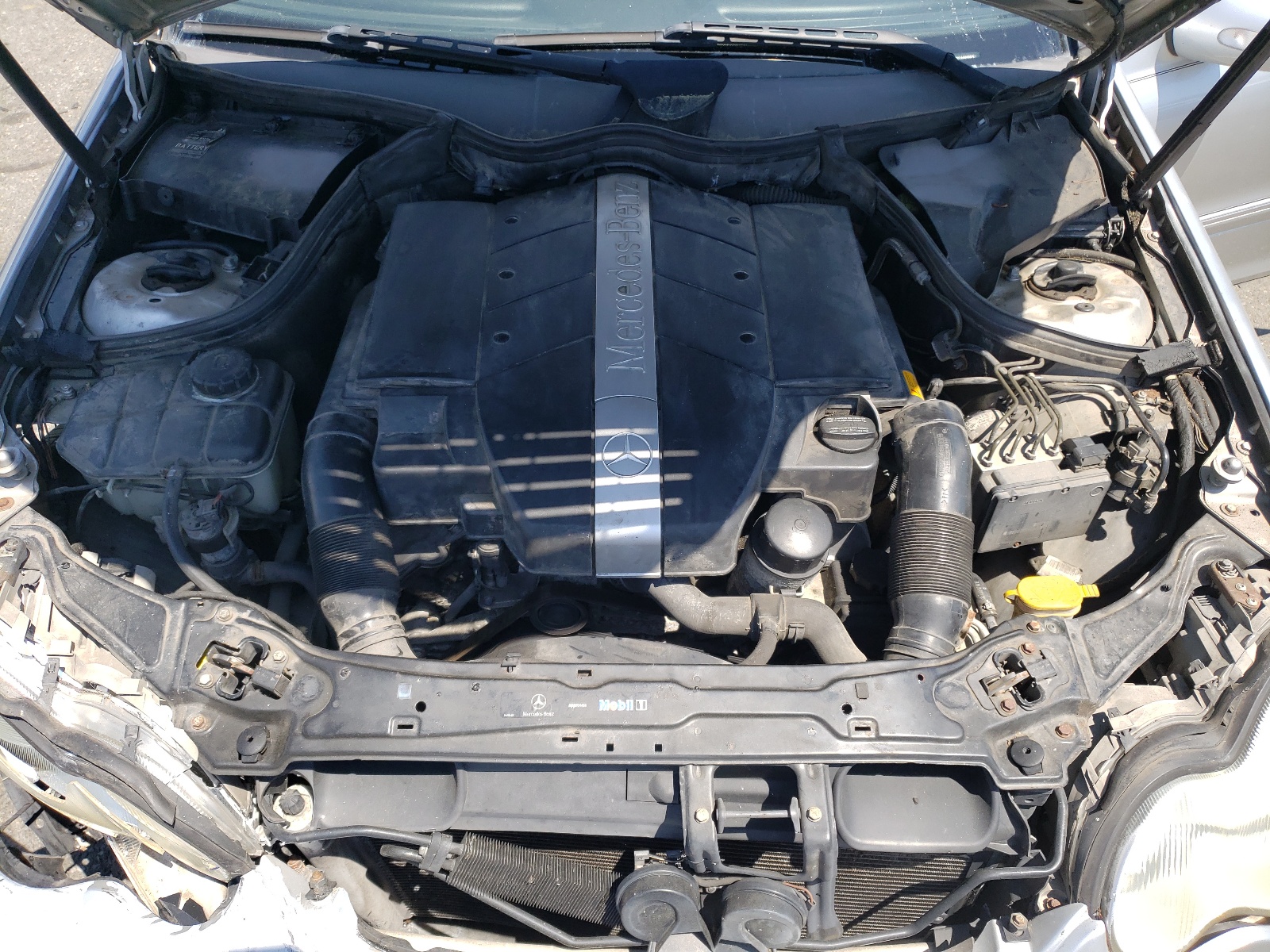 WDBRF61J64A565819 2004 Mercedes-Benz C 240