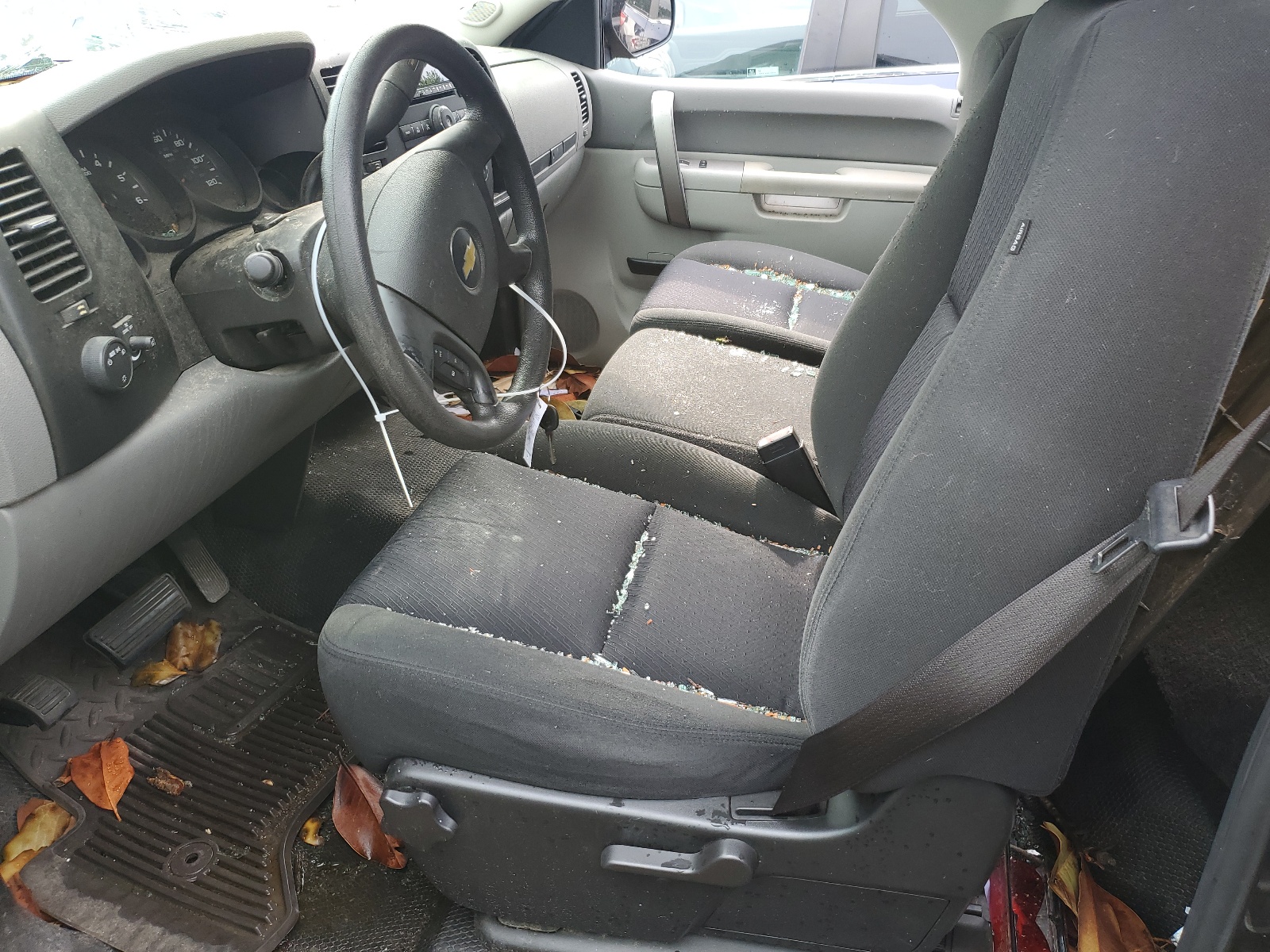 1GCPCPEX2AZ254729 2010 Chevrolet Silverado C1500