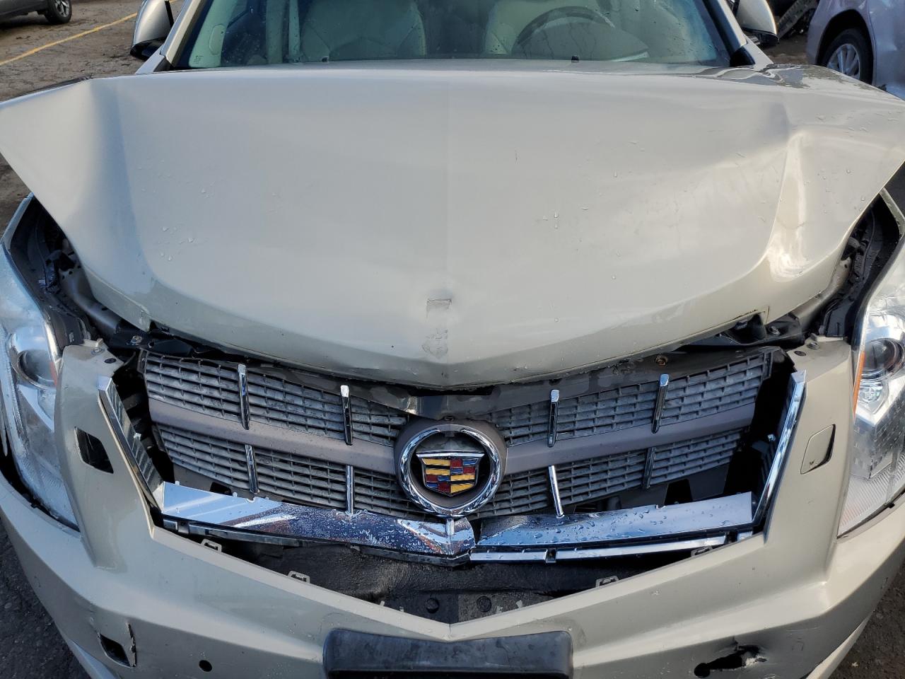 2010 Cadillac Srx Performance Collection VIN: 3GYFNBEY2AS652077 Lot: 60622864