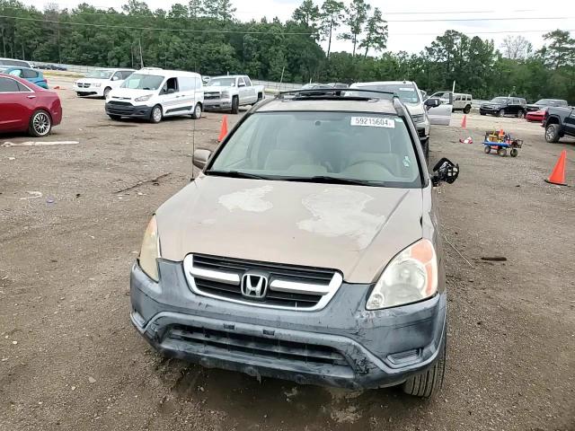 2004 Honda Cr-V Ex VIN: JHLRD788X4C042584 Lot: 59215604