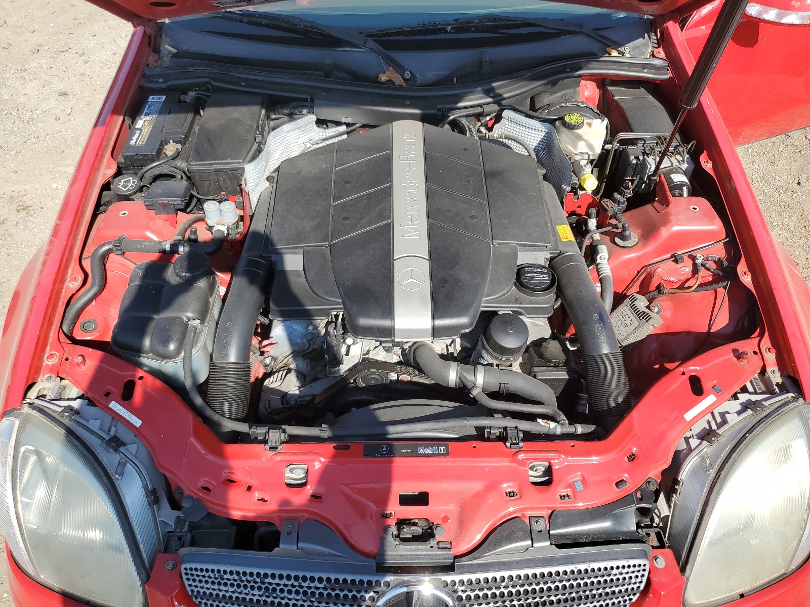 WDBKK65F23F287943 2003 Mercedes-Benz Slk 320