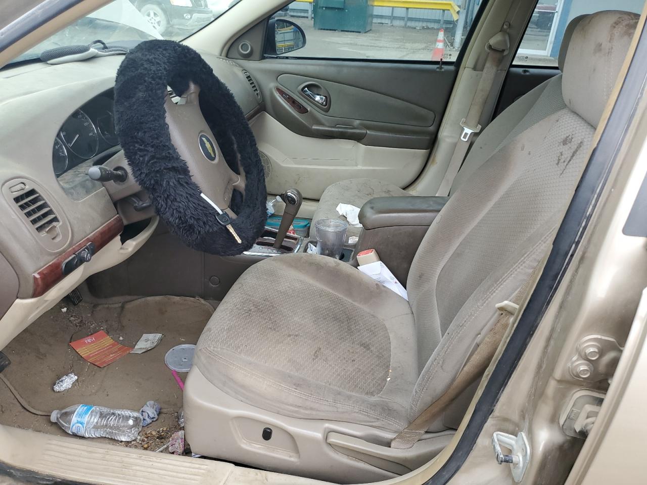 2006 Chevrolet Malibu Ls VIN: 1G1ZS53F36F254704 Lot: 60642284