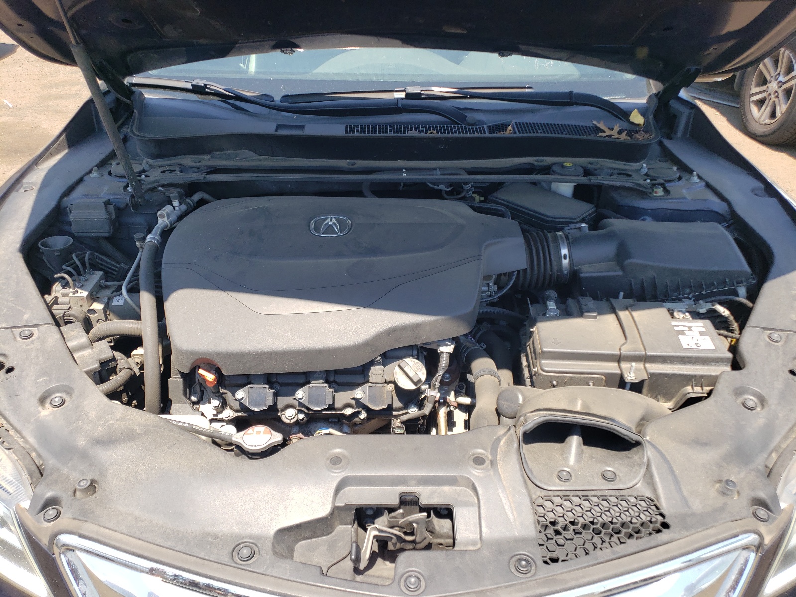 19UUB3F51GA002572 2016 Acura Tlx Tech