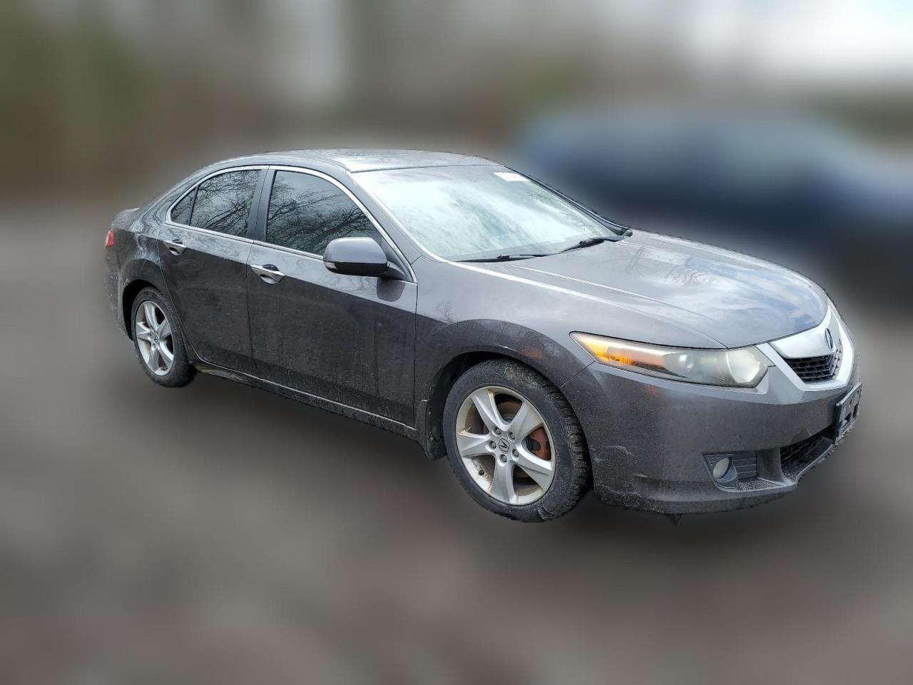 2009 Acura Tsx VIN: JH4CU26609C803653 Lot: 51774414