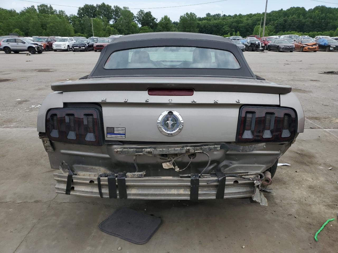 2008 Ford Mustang VIN: 1ZVHT84N685179025 Lot: 60351314