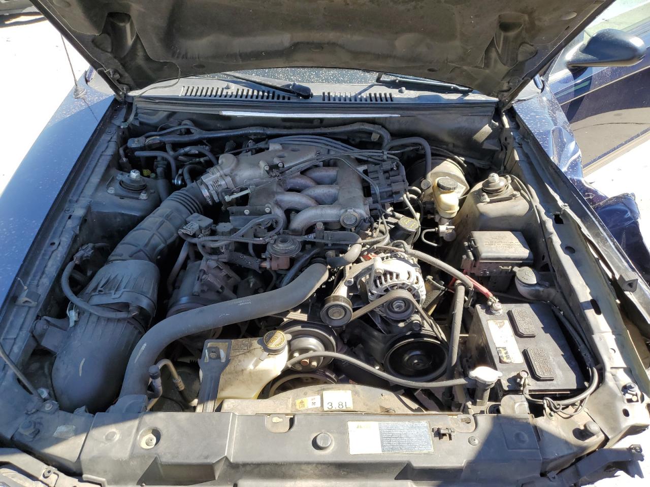 2001 Ford Mustang VIN: 1FAFP44421F254372 Lot: 61339124