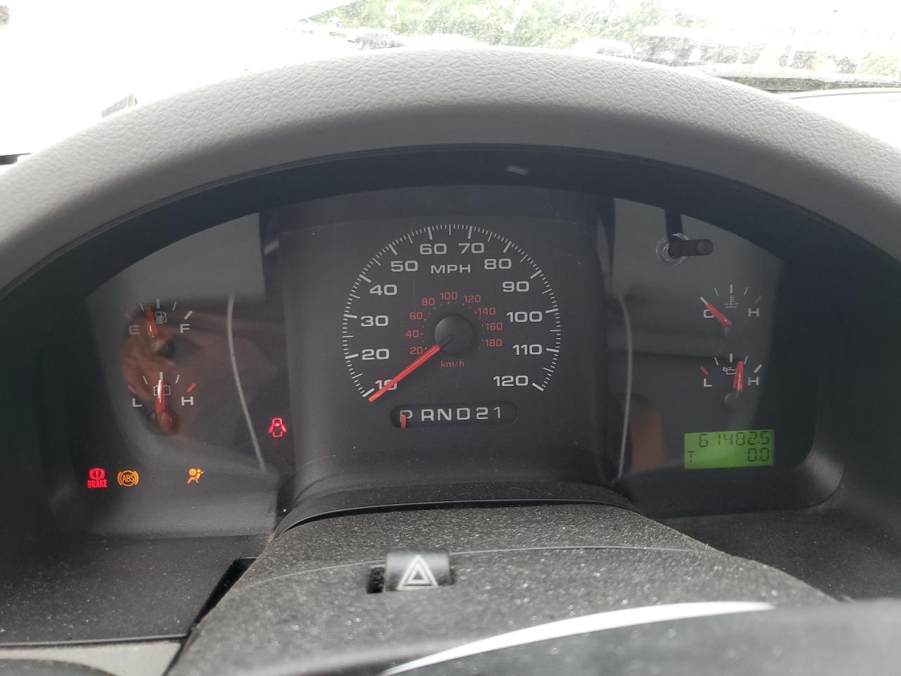 2006 Ford F150 VIN: 1FTRF12206NB29541 Lot: 57770754