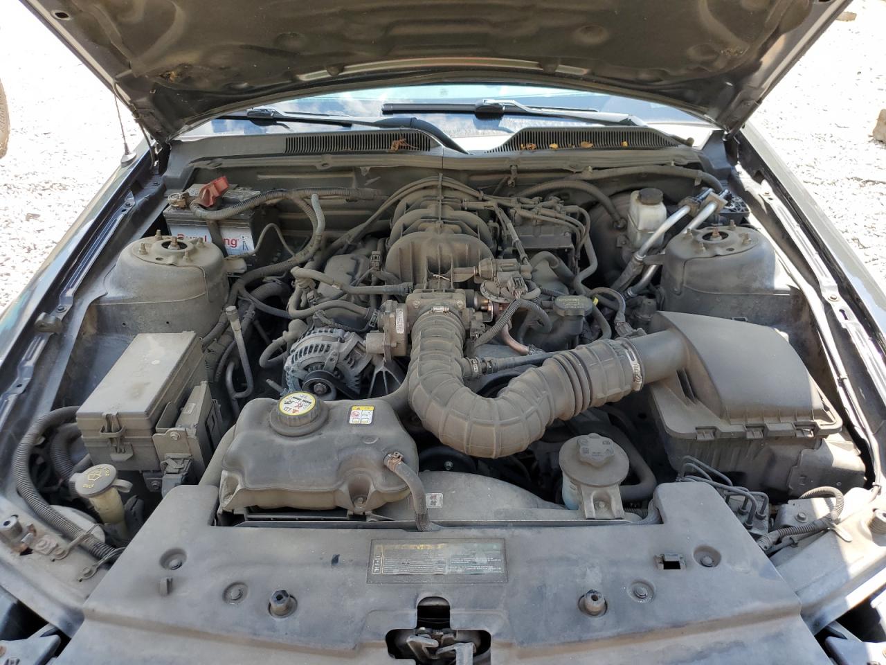 2009 Ford Mustang VIN: 1ZVHT80N695118460 Lot: 61272594