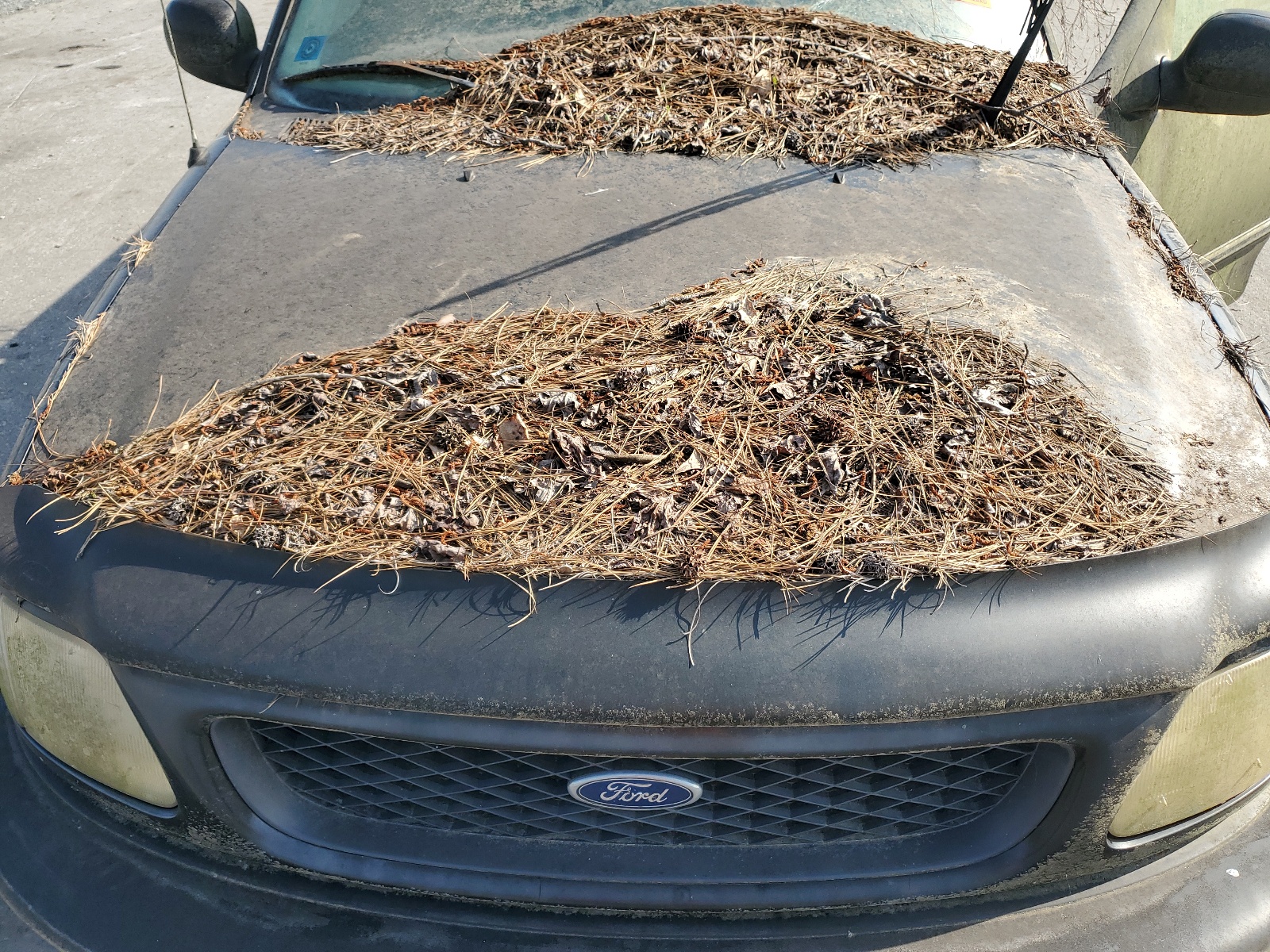 1FTZX18W9WNC06186 1998 Ford F150