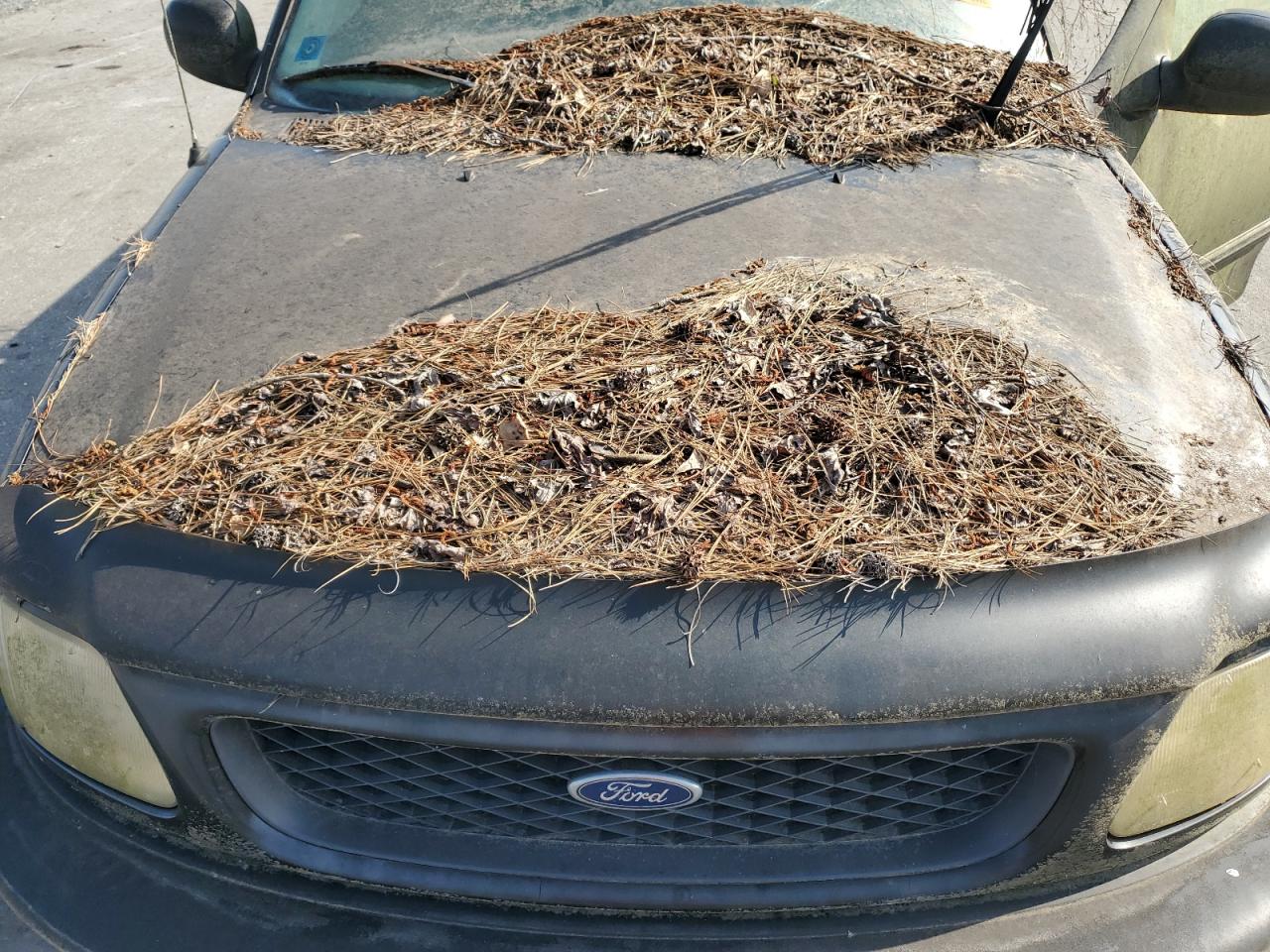 1998 Ford F150 VIN: 1FTZX18W9WNC06186 Lot: 57594064