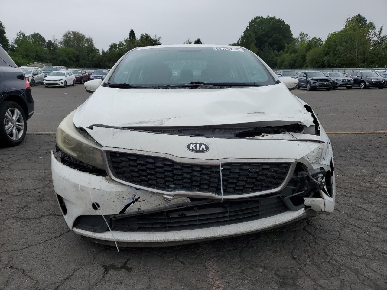 2017 Kia Forte Lx VIN: 3KPFK4A79HE093983 Lot: 59123754