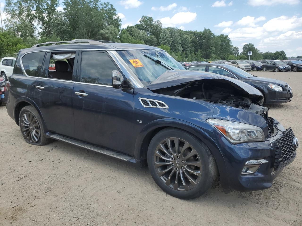 2016 Infiniti Qx80 VIN: JN8AZ2NEXG9121655 Lot: 58977154