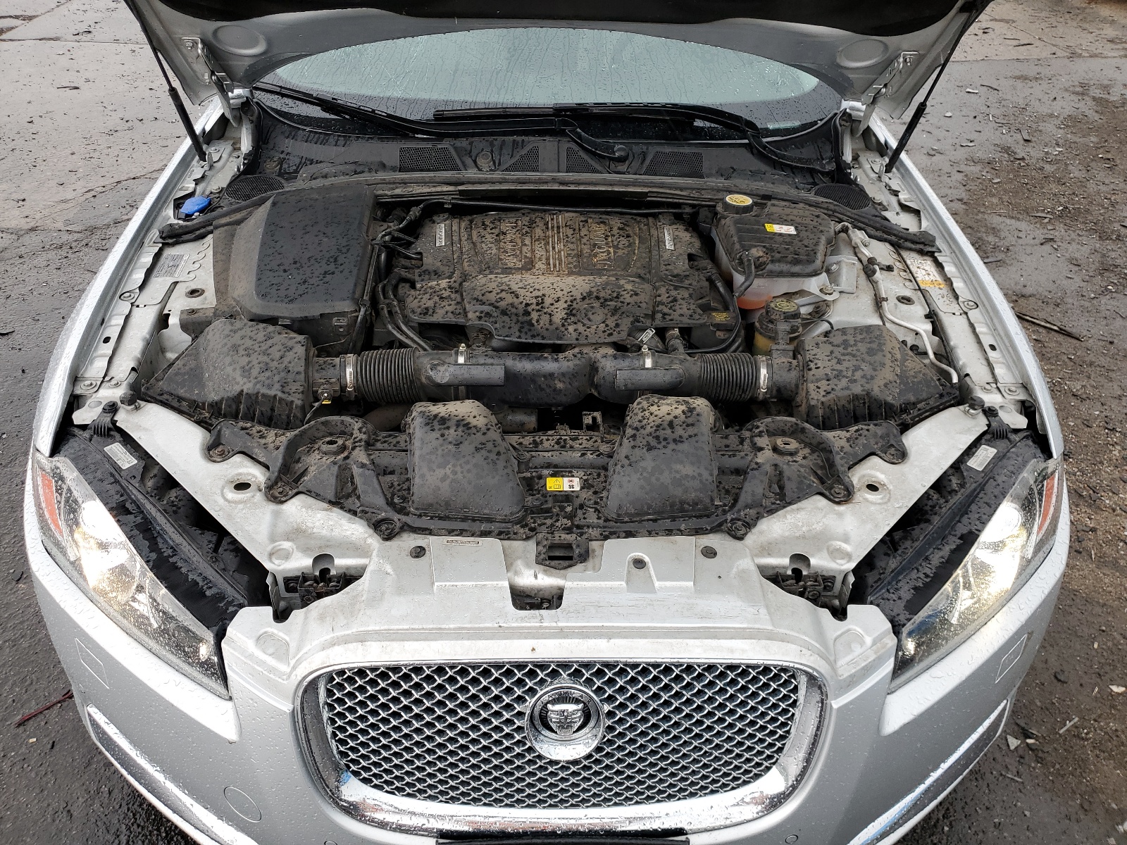 SAJWJ0EF2D8S86995 2013 Jaguar Xf