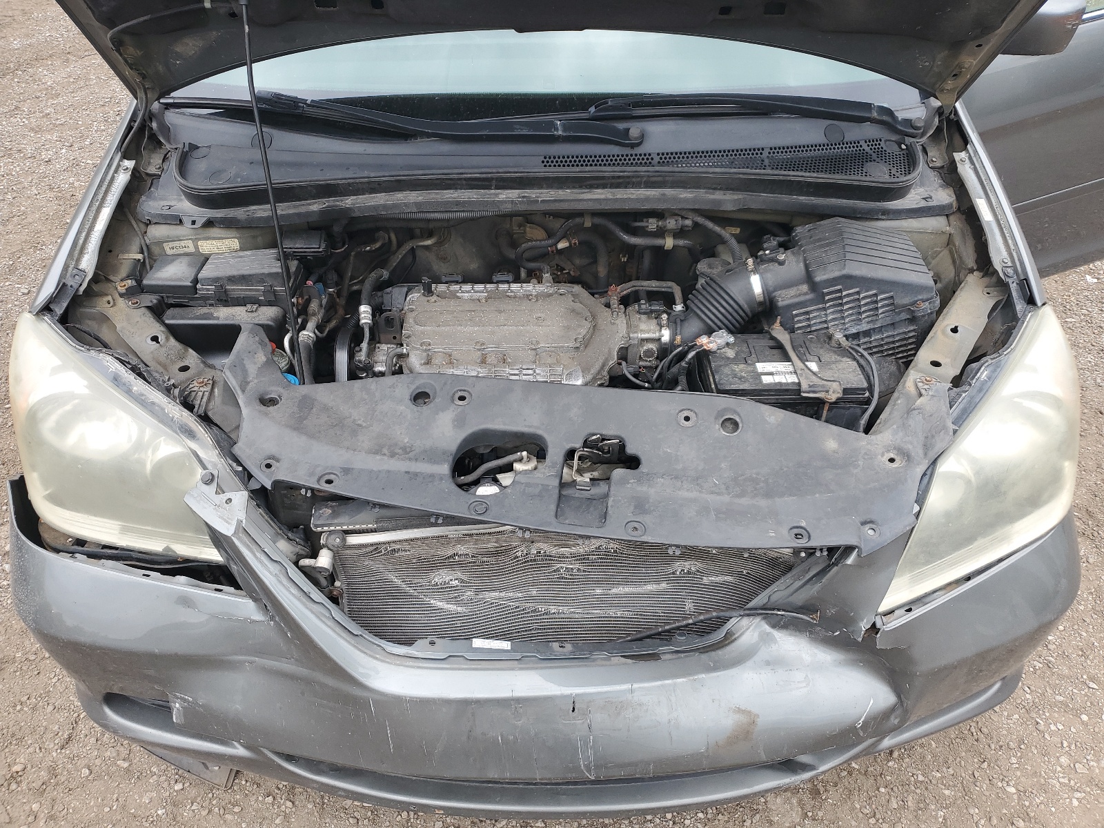 5FNRL38437B501290 2007 Honda Odyssey Ex