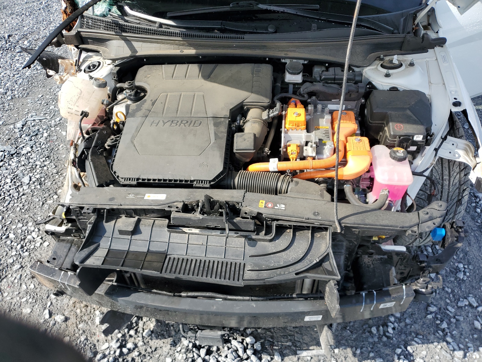 KMHLN4AJ6NU020956 2022 Hyundai Elantra Limited