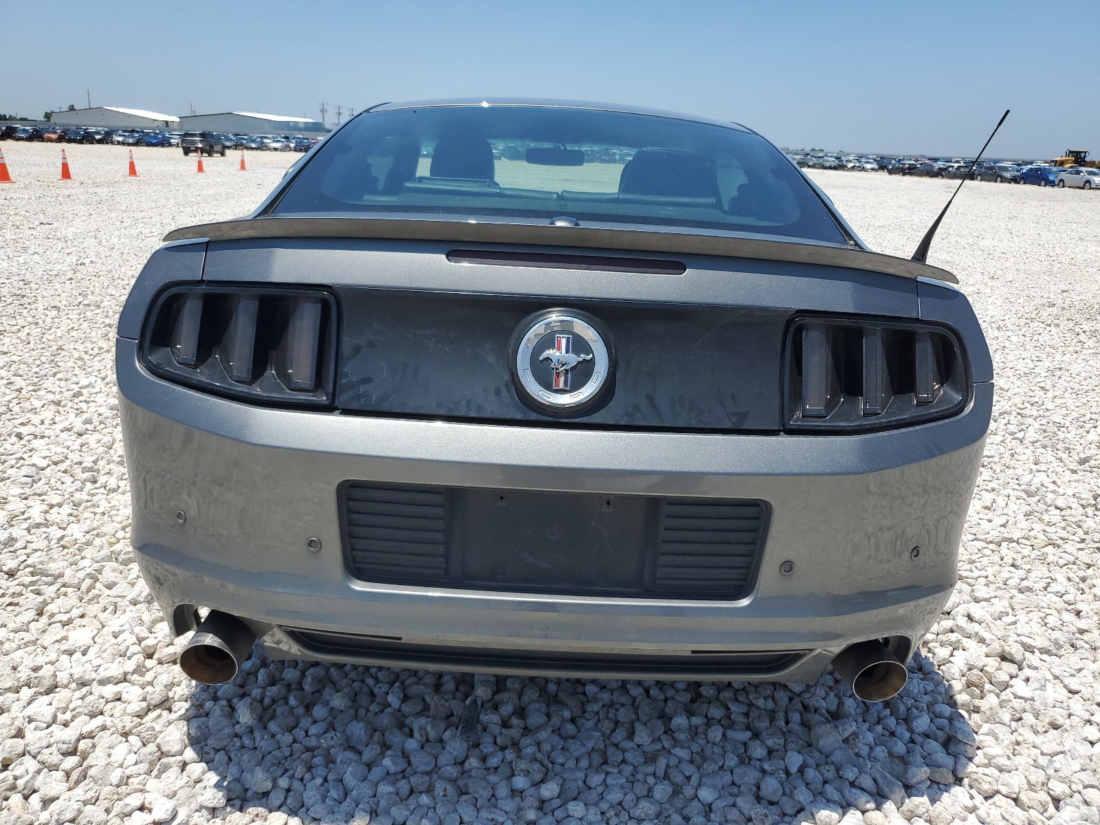 1ZVBP8AM3D5266669 2013 Ford Mustang