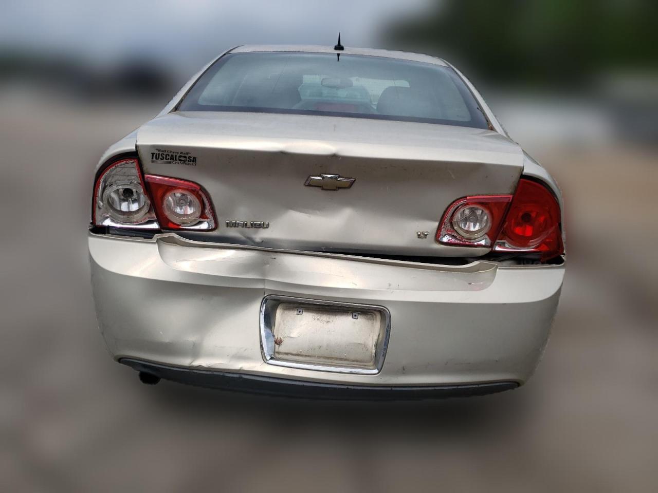 2009 Chevrolet Malibu 1Lt VIN: 1G1ZH57B59F123087 Lot: 49306834