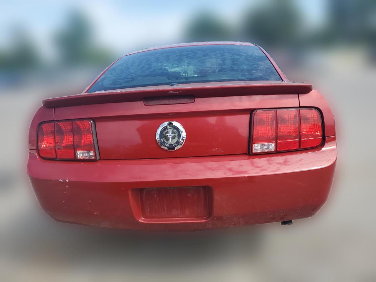 2009 Ford Mustang VIN: 1ZVHT80N595121821 Lot: 59365754