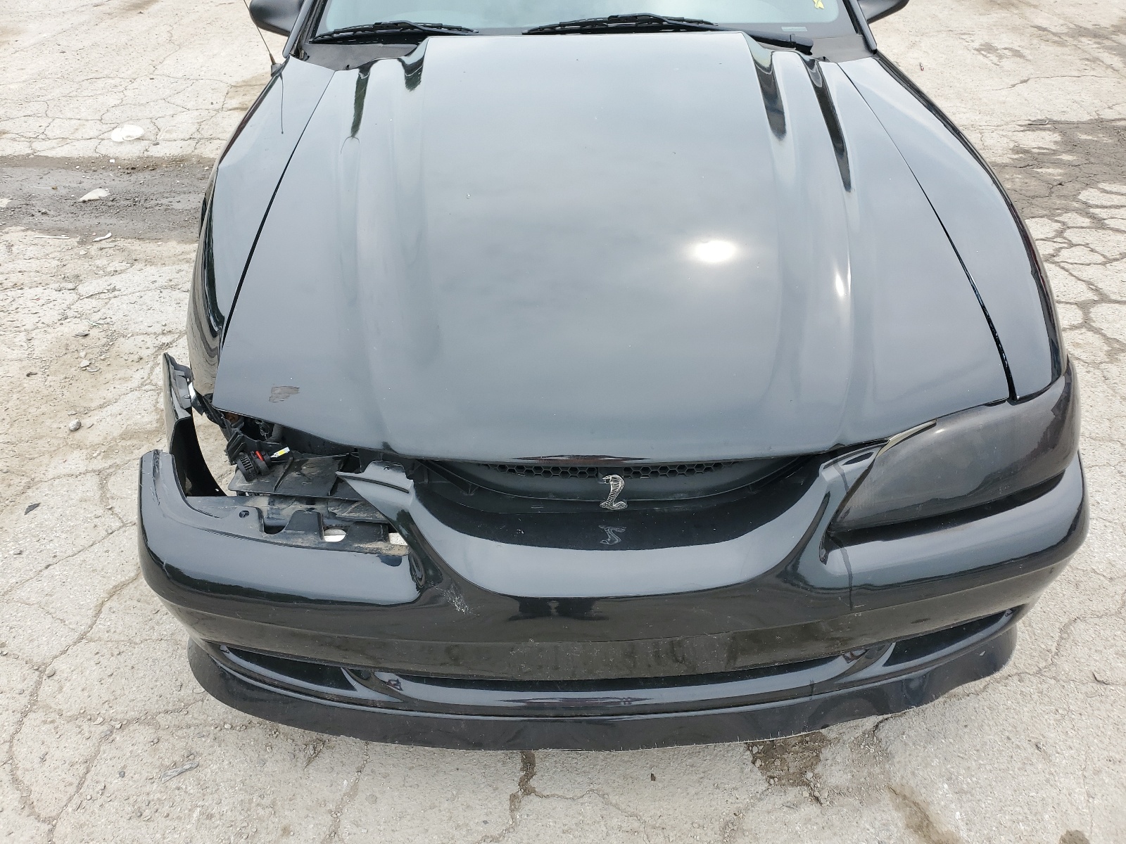 1FALP42X0TF188763 1996 Ford Mustang Gt